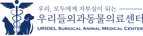 우리들외과동물의료센터